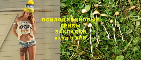 спиды Медногорск