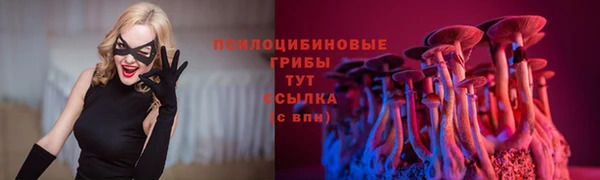 спиды Медногорск