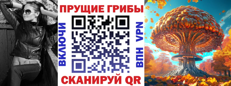 Галлюциногенные грибы мицелий  omg как войти  Нюрба 